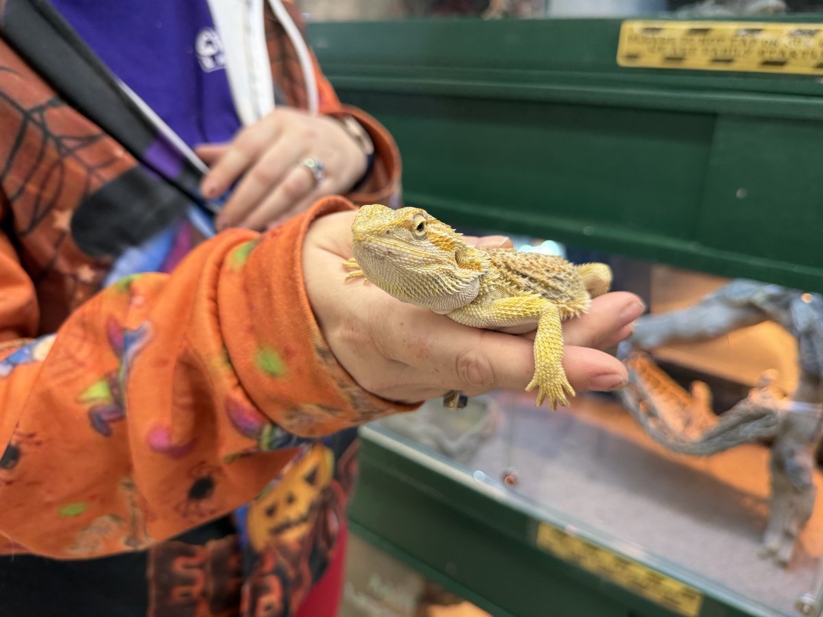 ✨ Pets make our lives better—return the favor with something special. A new toy, a fresh treat, or a habitat upgrade is waiting for you at Clark’s Pet Emporium.

#ClarksPets #abqpets #abq
