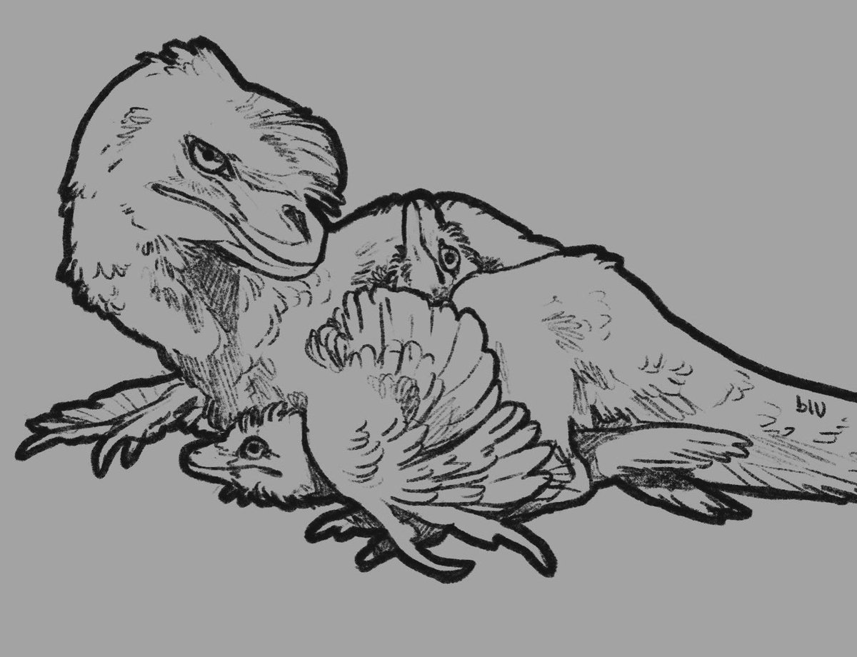 paleobug's tweet image. Let’s be silly and hide with mama