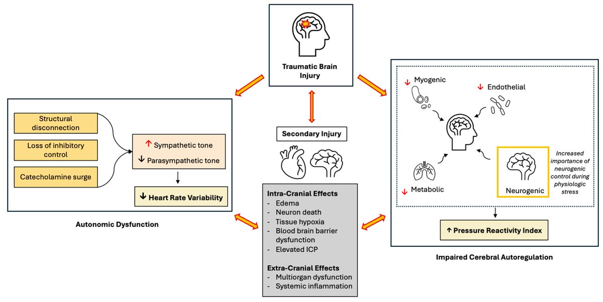 Critical Care Reviews tweet media