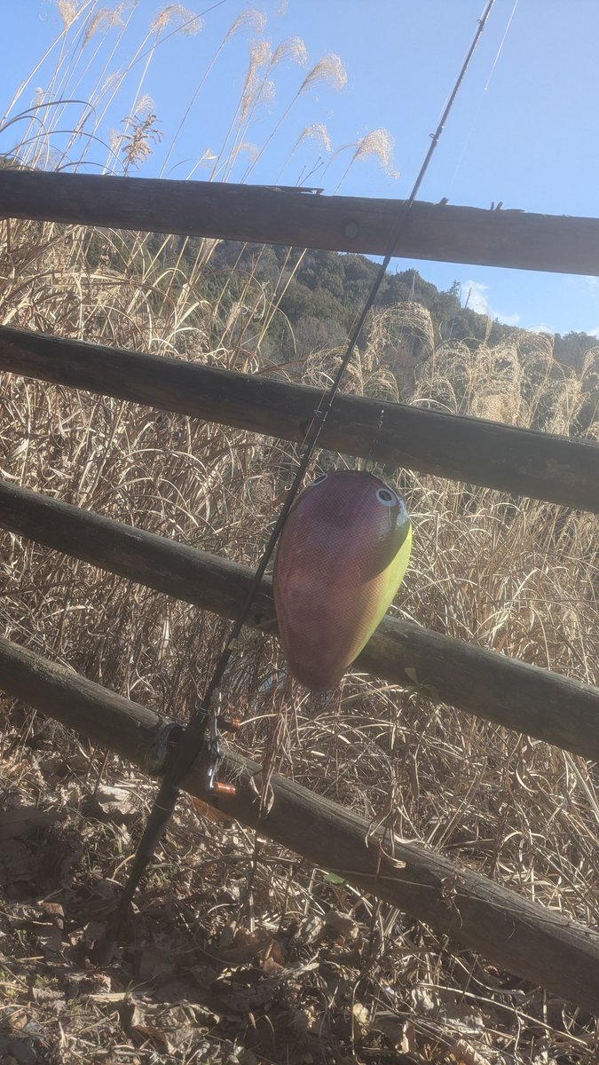rash_mach's tweet photo. 決してやる事がない訳じゃない！

朝、夕マヅメはちゃんと🎣釣りに行くけど寒くなって釣れない…けど釣りたい（出来れば大きいの）
そんな時は新たにルアーを製作！
完成したのがコチラ✨️

ルアー名  :  HIMADA（ヒマダ） https://t.co/KjoGRPRSUd