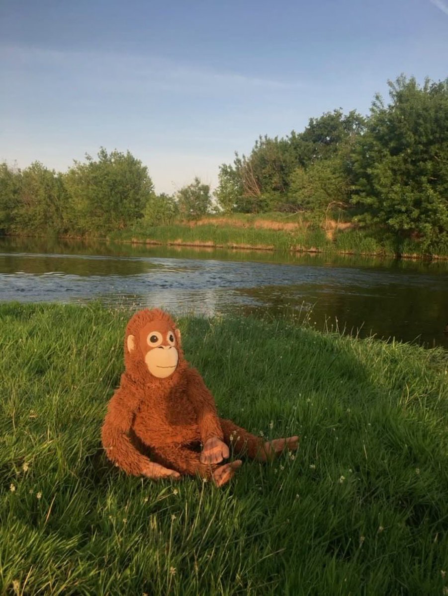 tomiezequiel15's tweet image. mi vida si nunca hubiera conocido a ese hijo de puta: