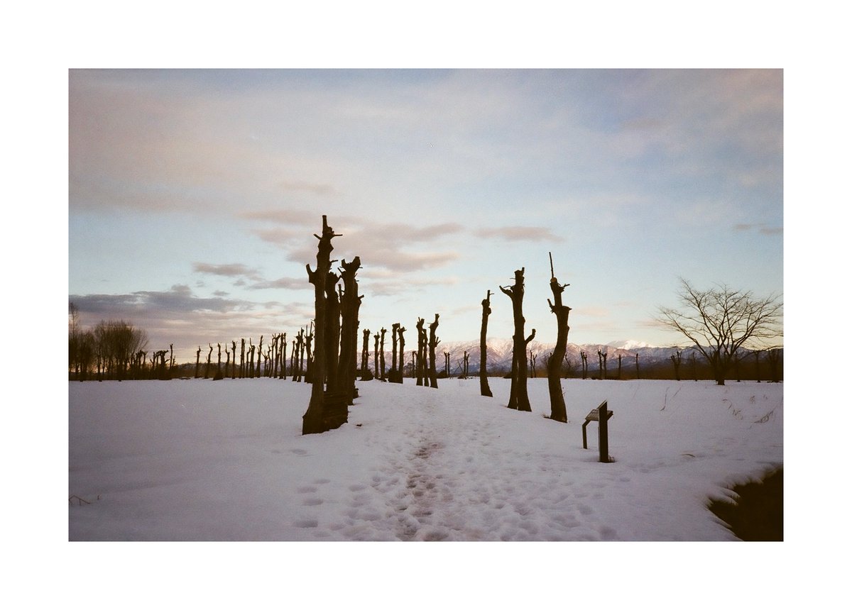 FORPRO_F's tweet image. Nikon L35 AD3
Nikon LENS 35mm f2.8
Kodak GOLD 200