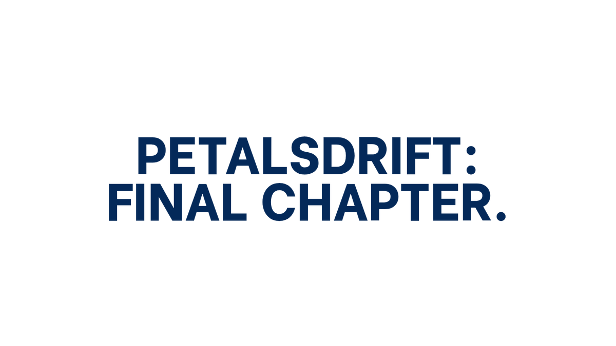 🧸🪁 tweet media