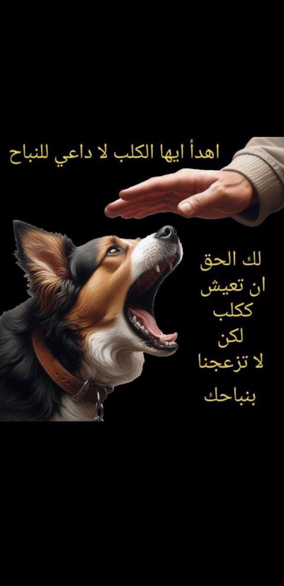 EShubati's tweet photo. @MohdTaqi11 https://t.co/PnCDaztUZG
