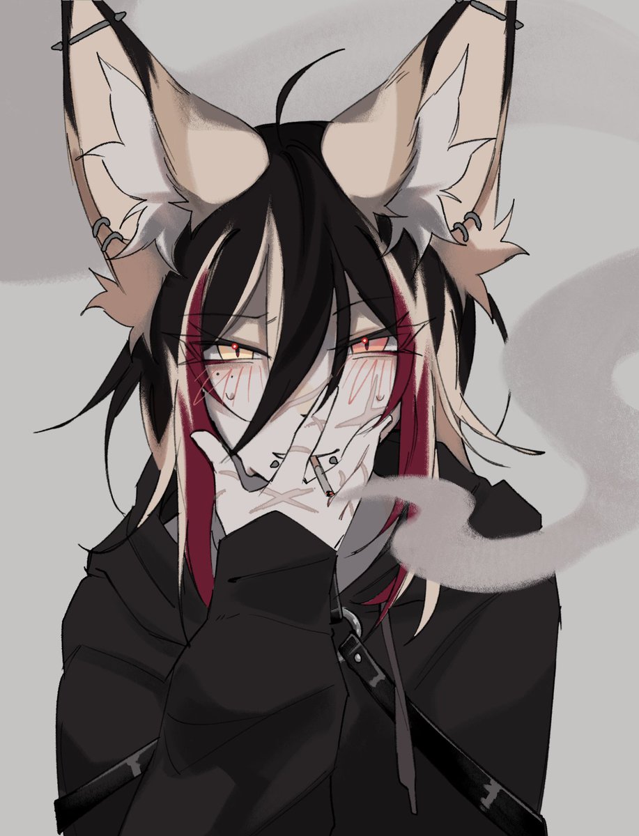 ☆彡 Kal tweet media