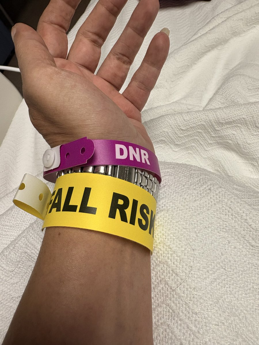 Stefanie tweet media