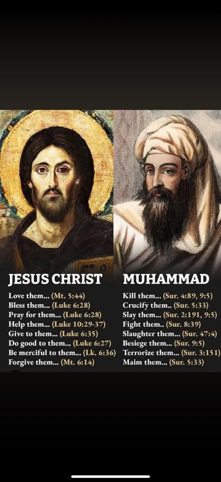 Timothy Enzenauer tweet media