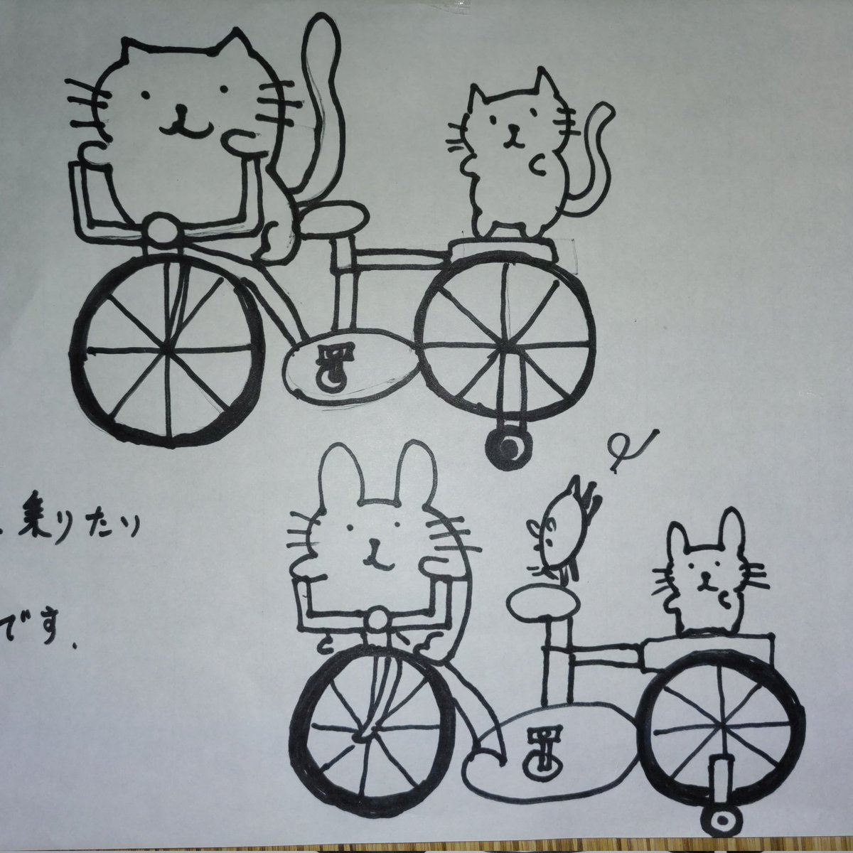 XuYuantomi80163's tweet photo. 今日も、忙しいにゃんです、🍀🍀🍀🐭🐭🐭 https://t.co/jZzHp5LPwt