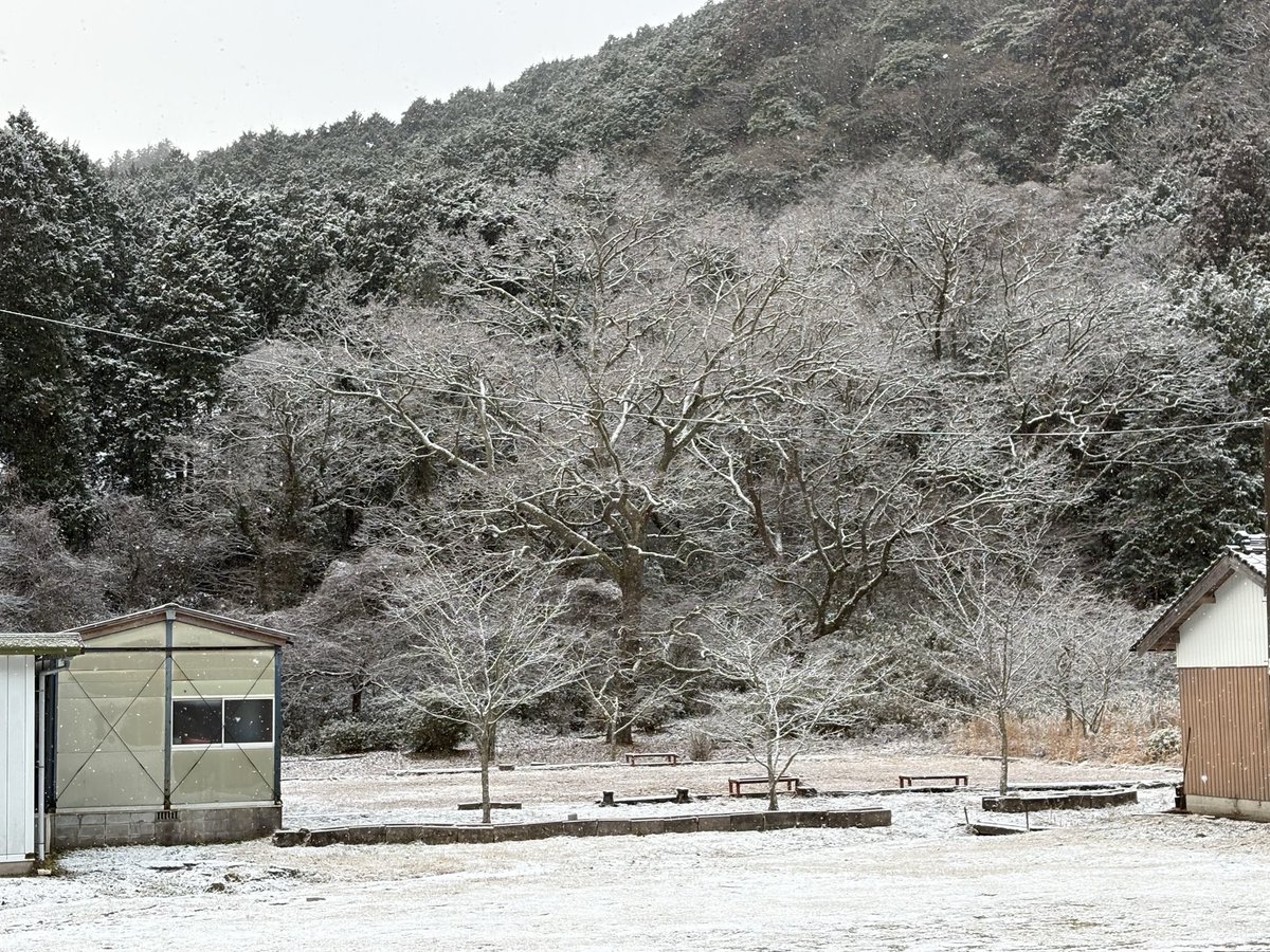 おはようございます
今季最長寒波で長登もしんしん雪が降っています
#雪 #長登銅山文化交流館 #大仏ミュージアム #美祢市 #山口県