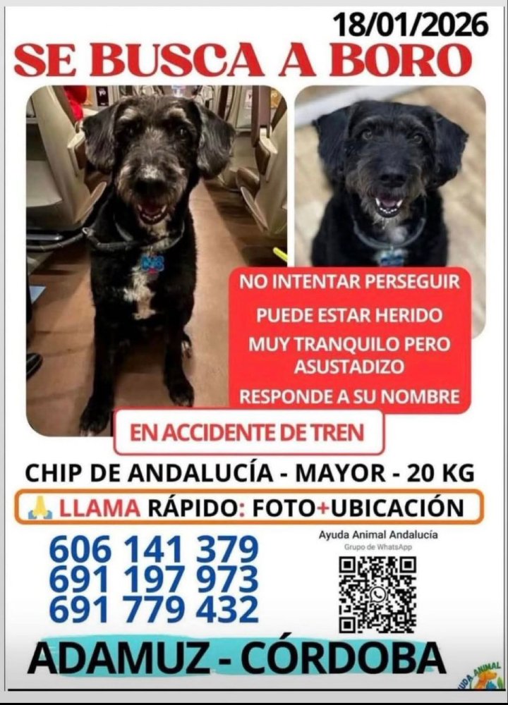 M. Gallardo (@mginstinto2) on Twitter photo 