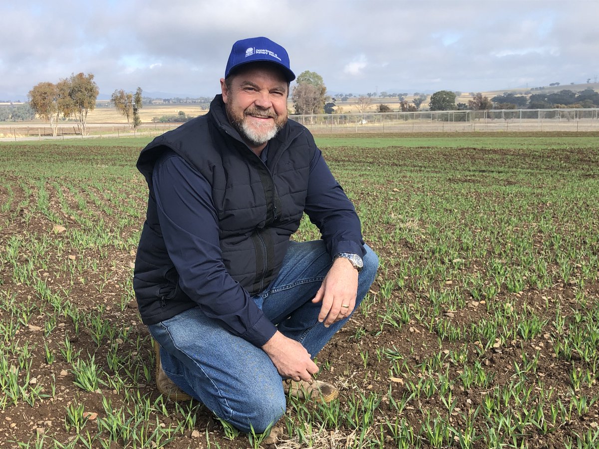 GRDC North tweet media