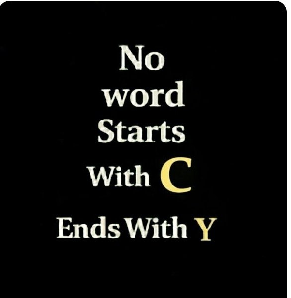 amna shehzadi tweet media