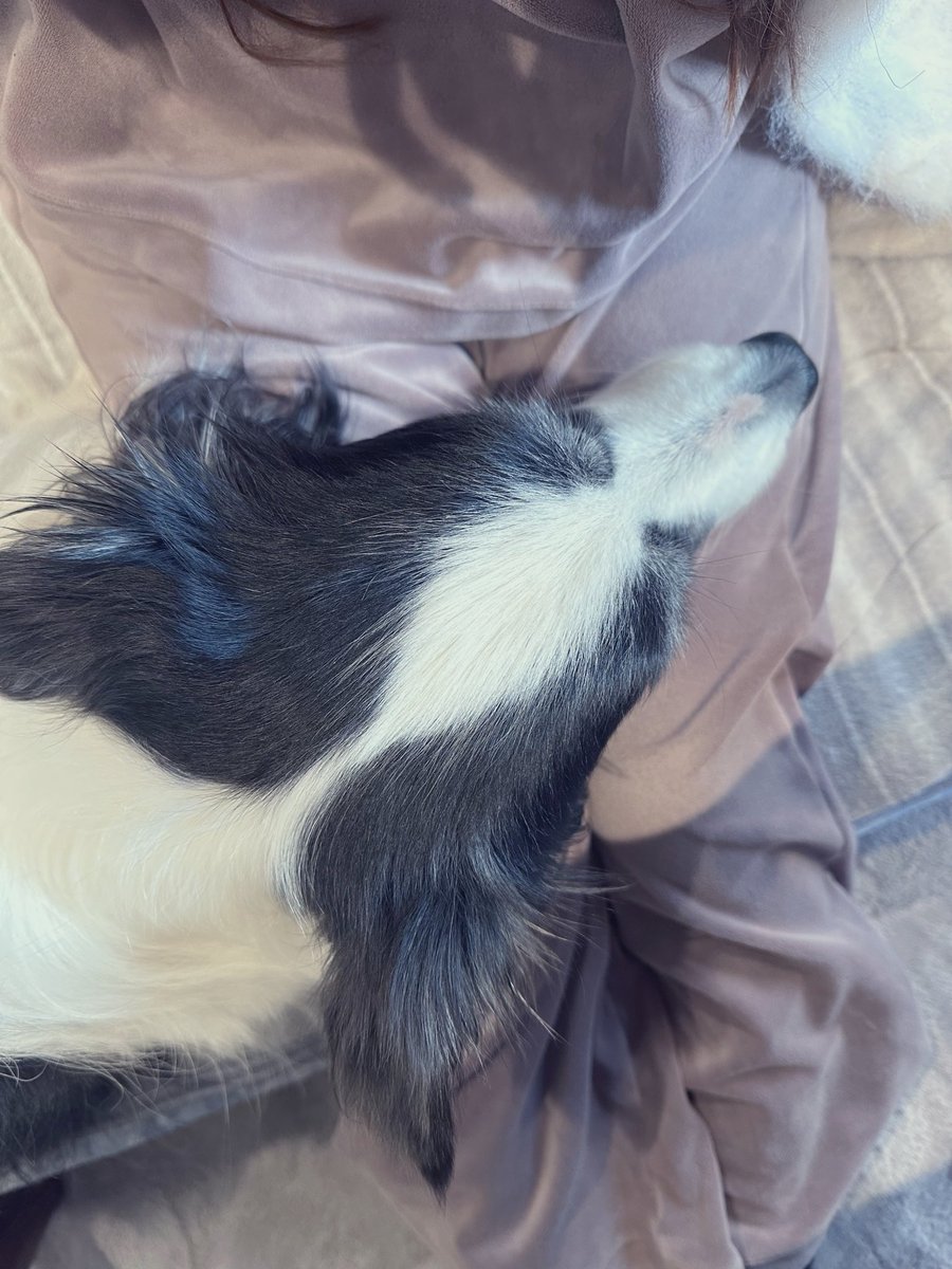 🎀𝐏𝐫𝐢𝐧𝐜𝐞𝐬𝐬 𝐑𝐮𝐛𝐲🎀 tweet media