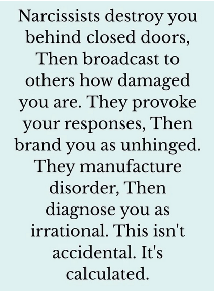 The Narcissist Box (@narcissistbox) on Twitter photo 