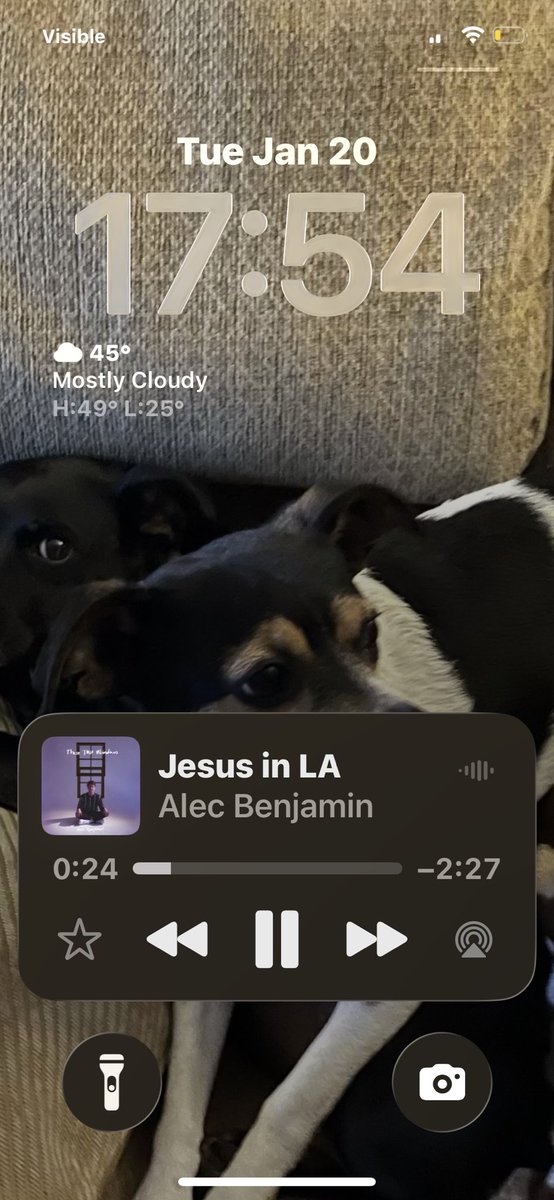 JohnParie's tweet photo. Thank you @AlecBenjamin your music calmed Daisy down after her first bath. https://t.co/f45Ww1OuEc