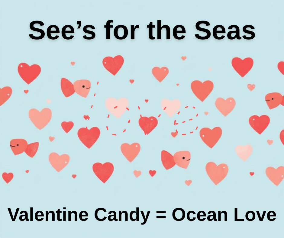 Sea Save Foundation tweet media