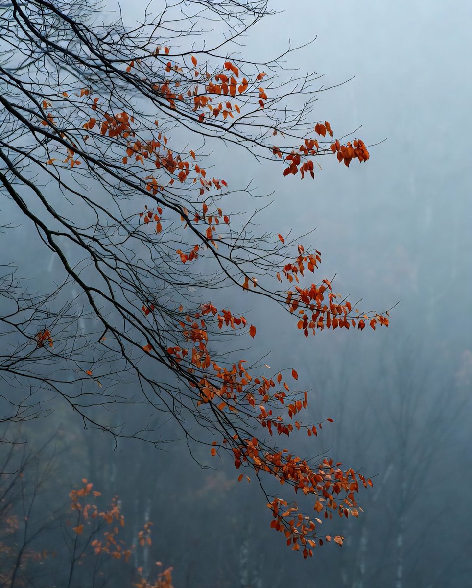 미련

지난 가을을
그리도 손놓지 못하겠더냐

아무리 절절한
사연을 가지고 있다하더라

내려놓고 갈것은 사심없이 털고
새로운 계절을 맞이 해야하리라

봄이 오는 날 움트는 새싹에
떠밀려 갈 네 모습 또 어떤 준비를 할꺼나

그래도 정말 그래도 우린 새싹을
준비하고 웃음있는 내일을 바라봐야지