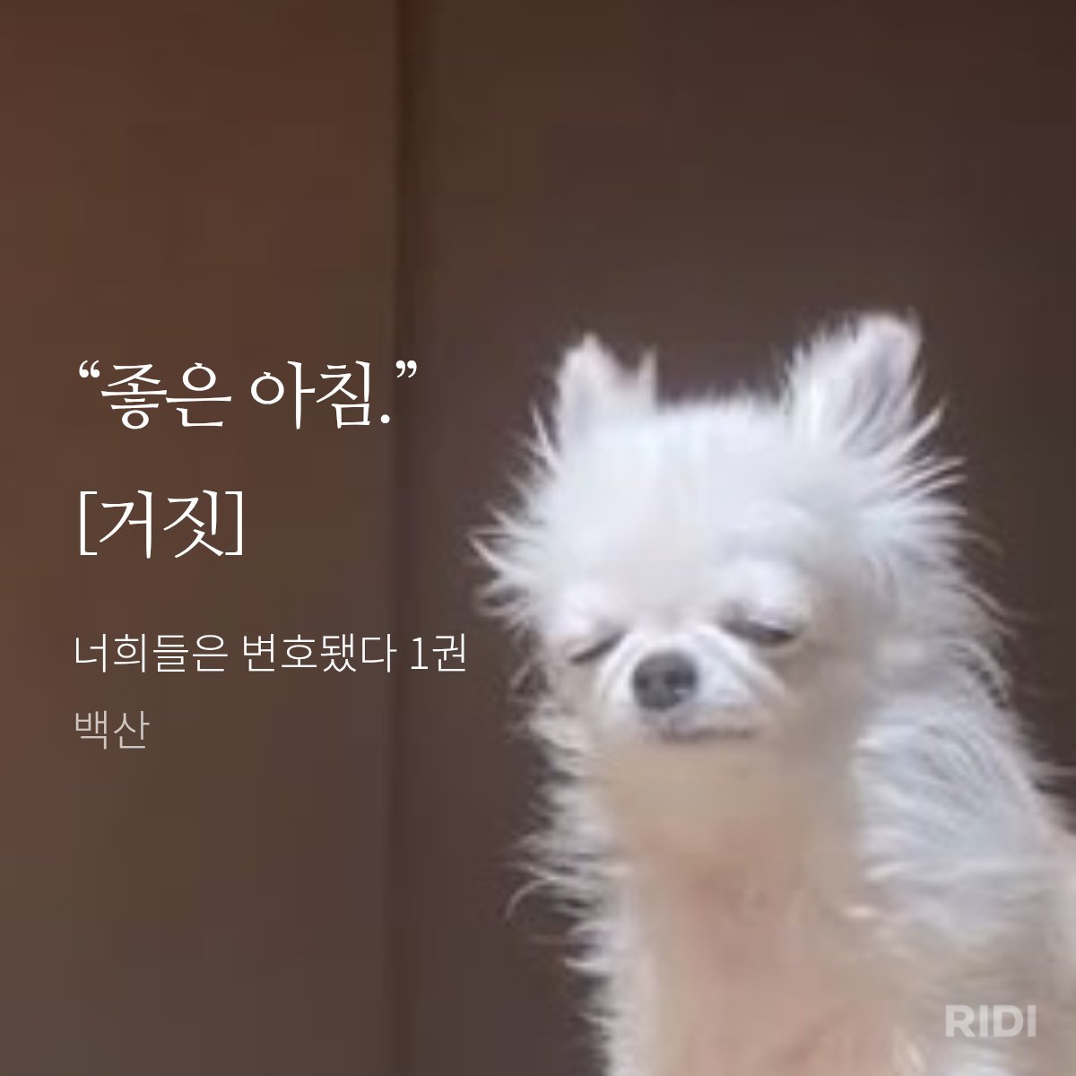 고장난전구 (@bradio_nv) on Twitter photo 