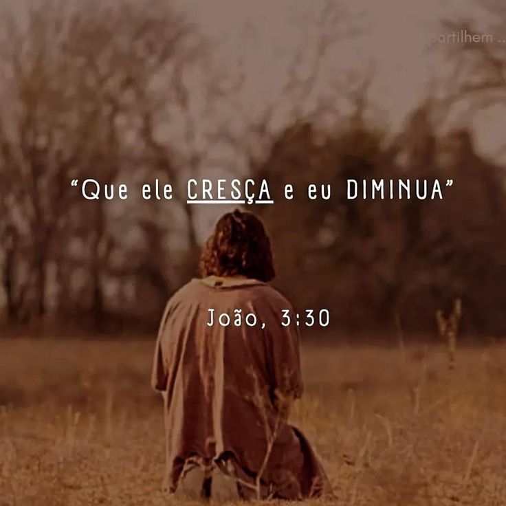 livrodaprofecia's tweet image. 