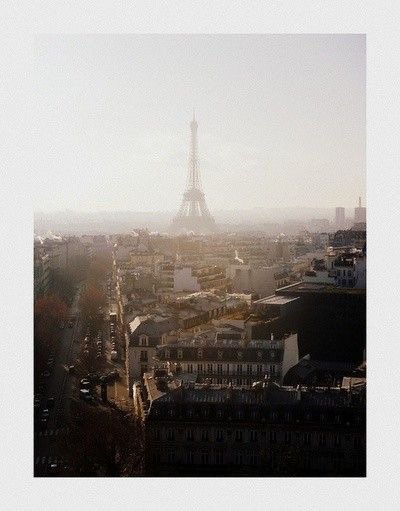 MIUCCIANGEL's tweet image. 