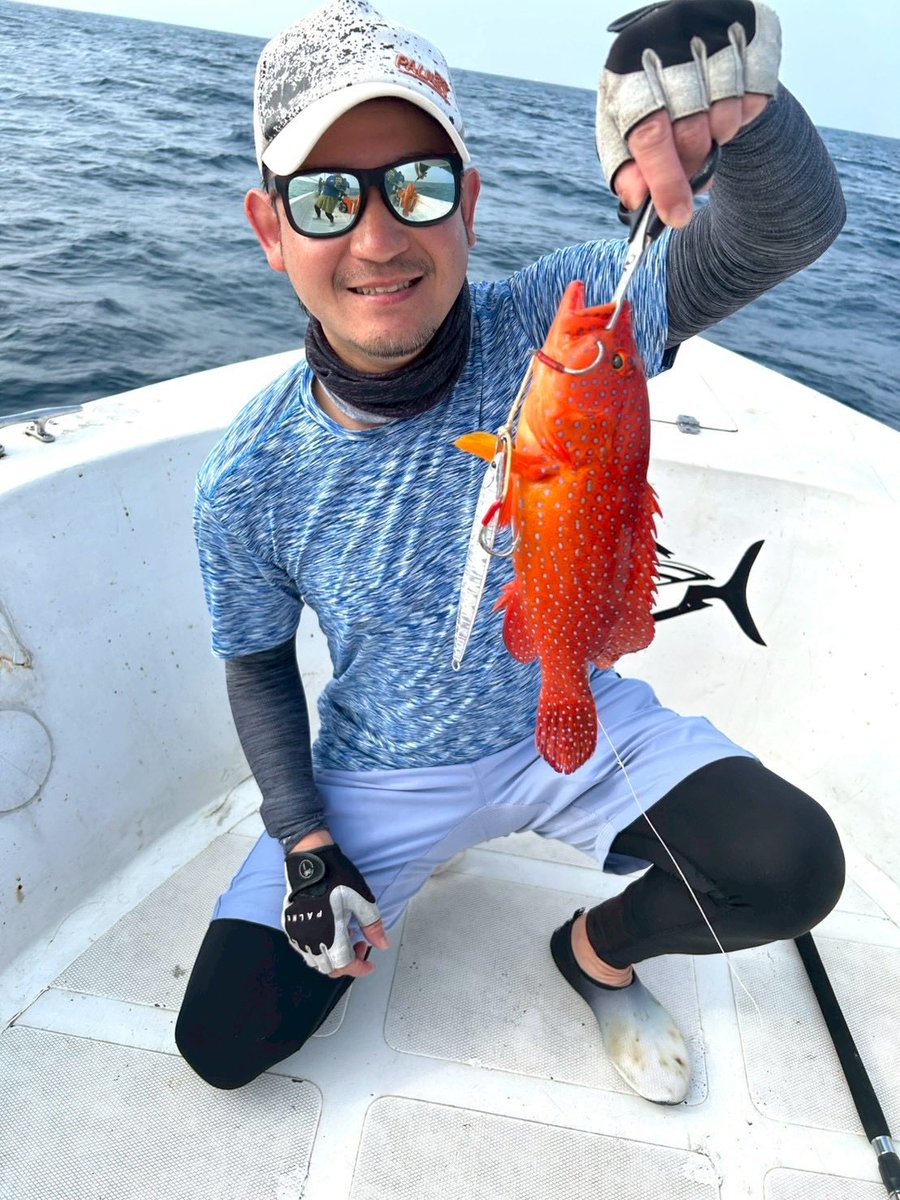 palms_global's tweet photo. Grouper with JIGARO MASSIVE and Slow Blatt cast SLIM in Maldives 🇲🇻
Lure: JIGARO MASSIVE 115g and Slow Blatt cast SLIM 80g
Thank you Laurette @palmsangler_laurette !!
#palmsfishing #maldivesfishing #slowjigging @palms_japan https://t.co/JrjD4635LB