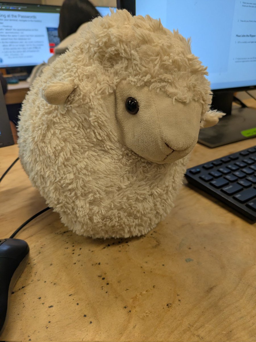 ive been waiting months to take a picture of this fatass sheep and I finally got the chance