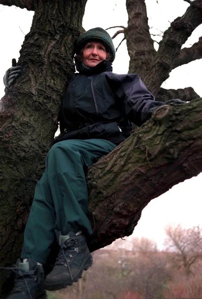 70sStreetFan's tweet photo. #OnThisDay in 1998 on Coronation Street - Emily Bishop protested the demolition of the Red Rec by climbing a tree and refusing to come down 

#Corrie #ClassicCorrie #CoronationStreet #EmilyBishop #EileenDerbyshire https://t.co/3nx9ppdtXx
