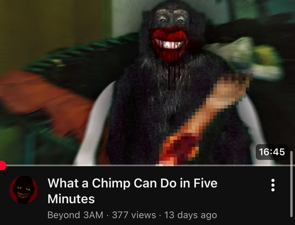 plopadop's tweet image. 