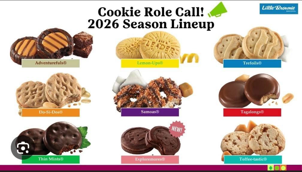 Mallory - Reading Teacher 🍎📚 tweet media