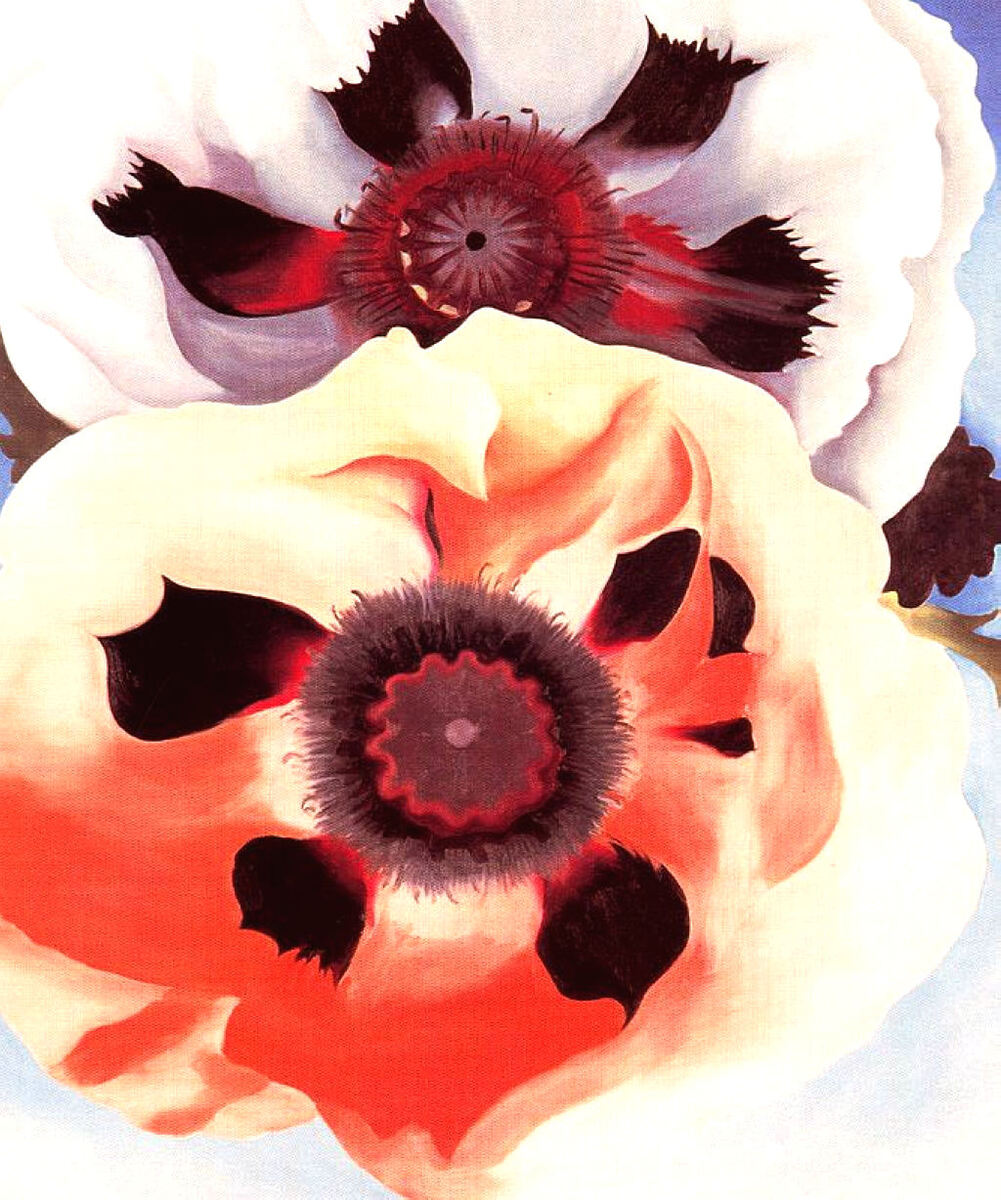 Poppies #artbots #okeeffe
