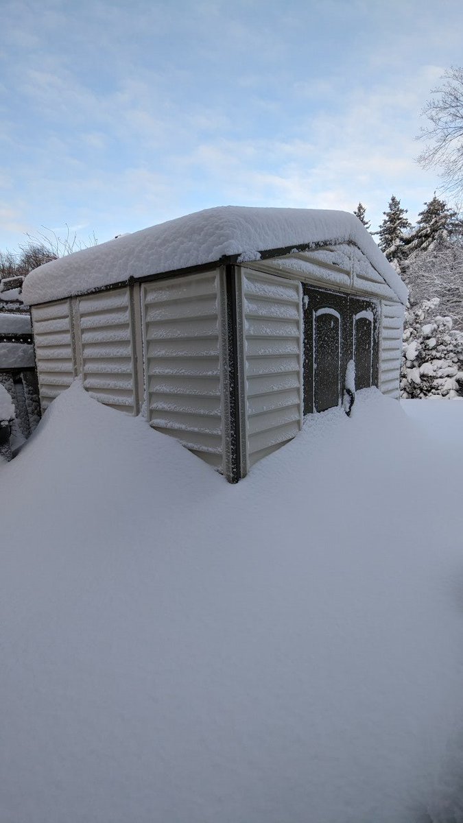 Collin Chan tweet media