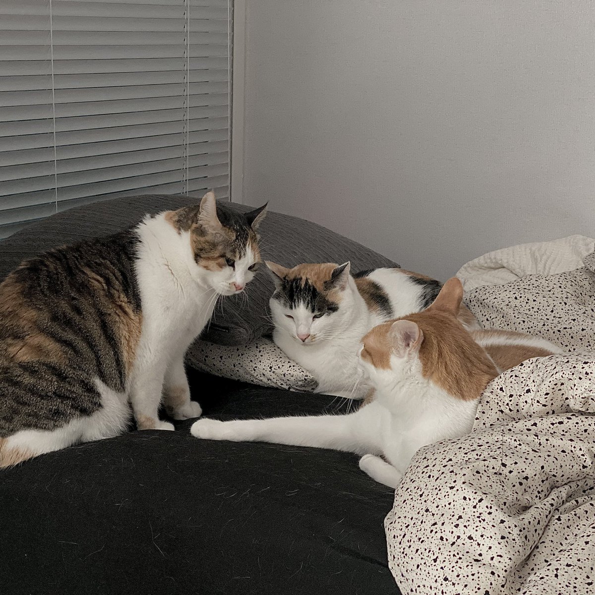 ㅋㅋ좋아하는 사진 둘 
두번째 사진이 아주 웃겨 무슨 회의하는데 너네