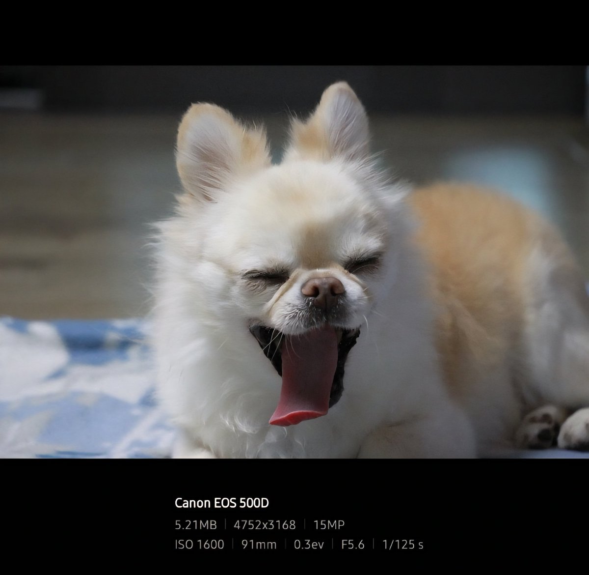 Str_berry_misu's tweet image. #리듬게임_트친소 #VRChat_트친소

트친분들 인알 감사합니다
브챗도 하고 리듬겜도 하는 성인 남성 김닦개입니다
취미로 사진도 찍고있습니다 
선팔 흔적 뭐든지 남겨주시면 쇼콜라 들고 찾아갑니다