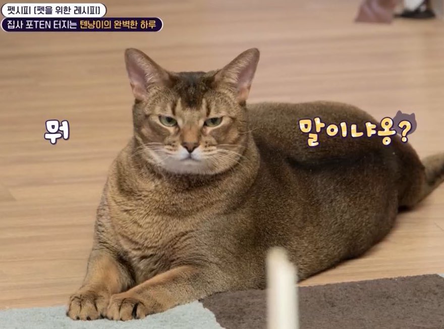 Babieluniten's tweet image. โดนแต่เช้า 😾