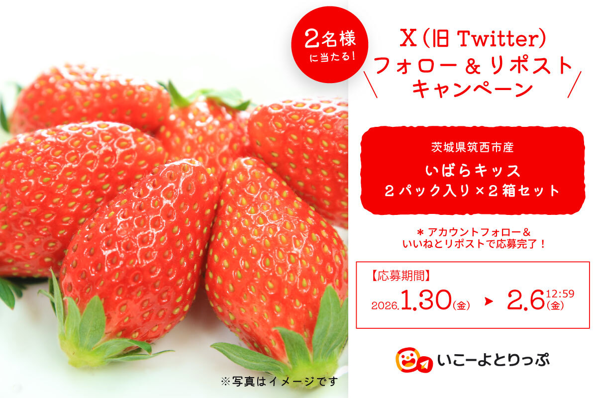 iko_yo_trip's tweet photo. ＼＼ ✨💕🎁✨／／
今回の #プレゼント はいちご🍓
／／ ✨🎁💕✨ ＼＼

🌈賞品
茨城県筑西市の「いばらキッス」

🌈当選者数
2名様

🌈応募方法
1⃣ @iko_yo_trip をフォロー
2⃣この投稿をRP＆いいね
⏰2/6（金）12:59締切

🎁詳細
https://t.co/VqSTl3NfV2

#懸賞　#キャンペーン #PR https://t.co/rV8hwjhm3J