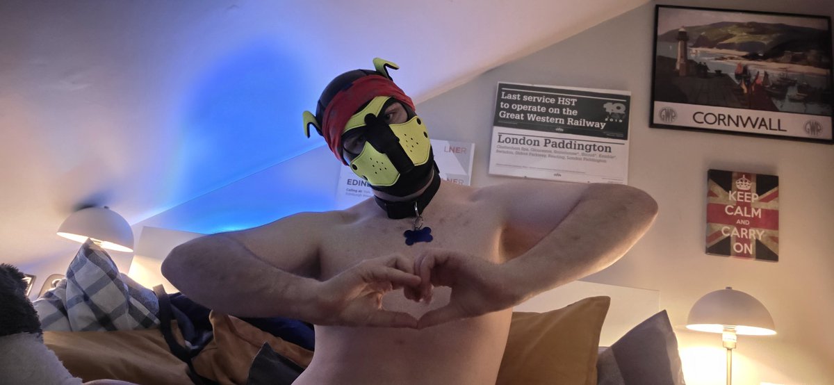 Pup Bonkers tweet media