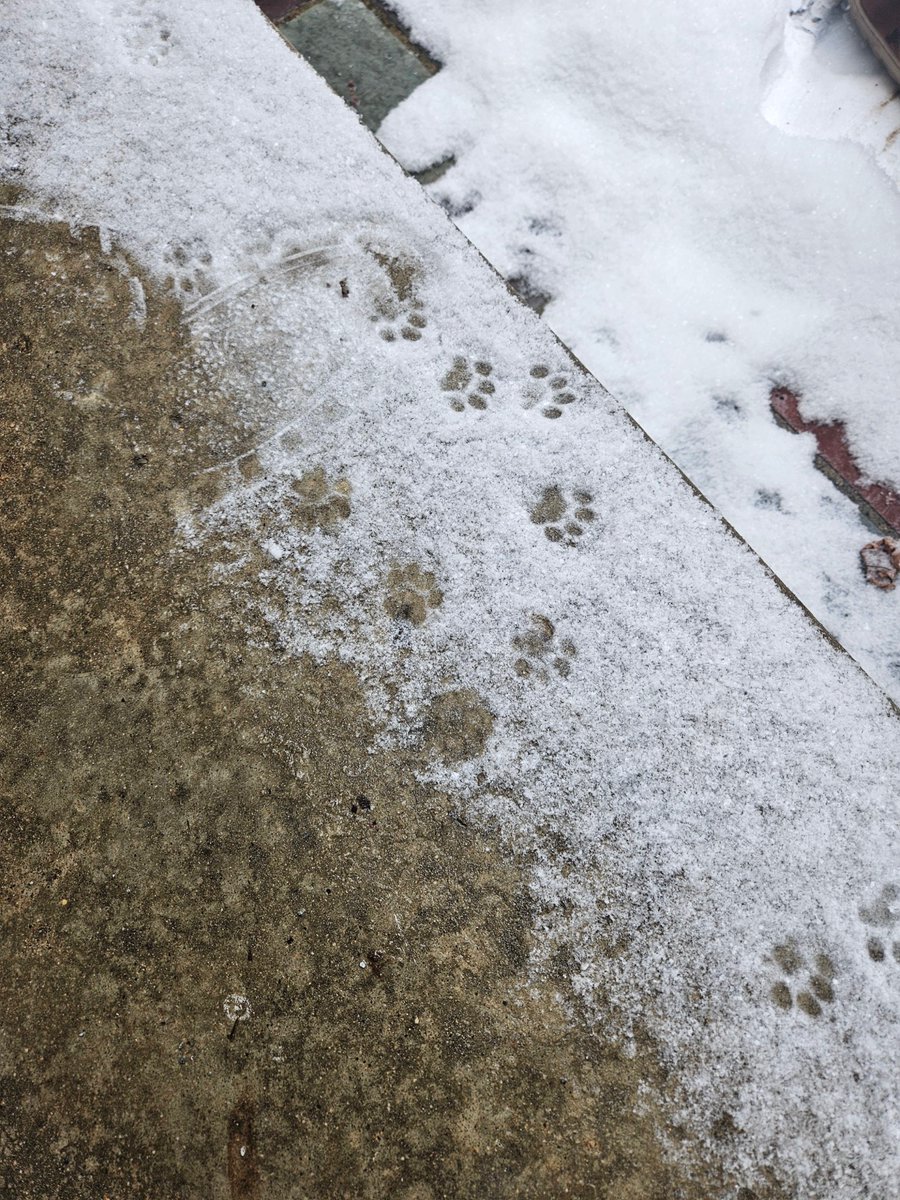 SimulationRot (@simulationrot) on Twitter photo 