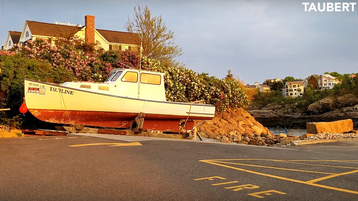 Eric J. Taubert tweet media