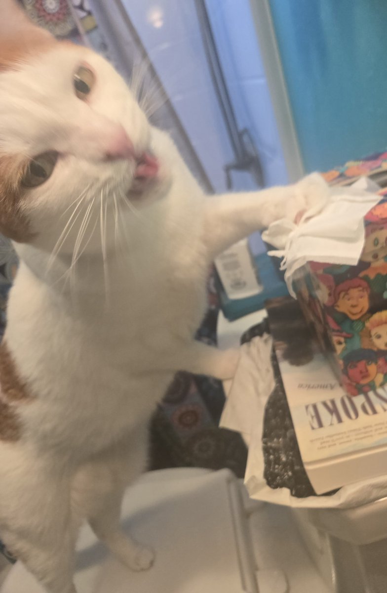 Busy Boy Floyd tweet media