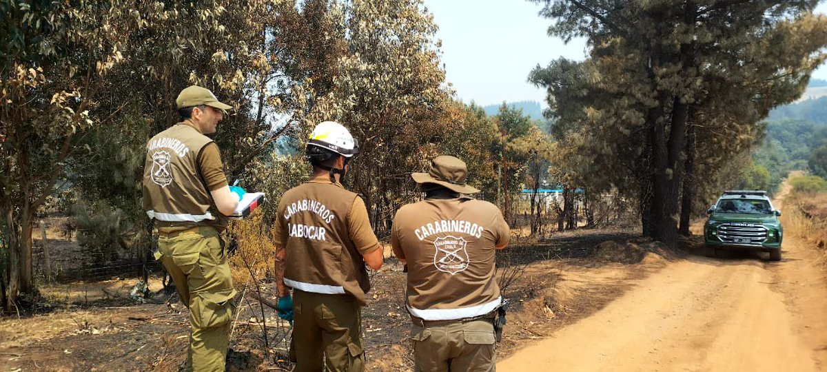 CarabBioBio's tweet image. Labocar #Concepción junto a su equipo de investigación de incendios del Departamento de Labocar, trabajan en el fundo San Lorenzo en #Florida, con la finalidad de investigar las causas y origen del incendio que se  propagó y afectó  a más de 3 mil hectáreas
