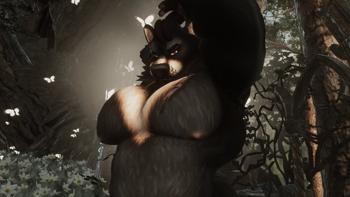 Arrow 🔜 FWA tweet media