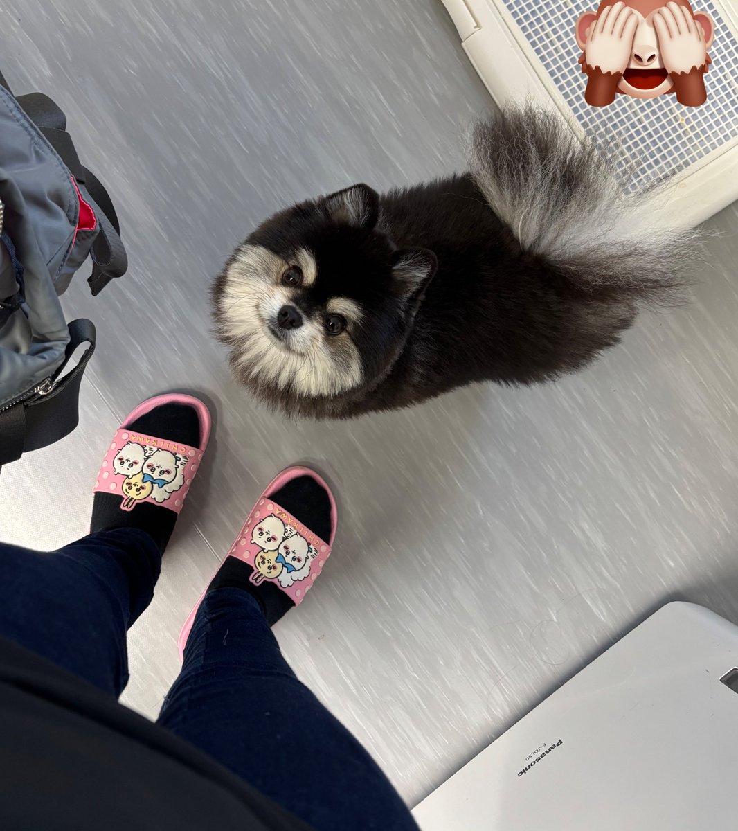 naaasan3000's tweet image. 平社員サブロー先輩出社