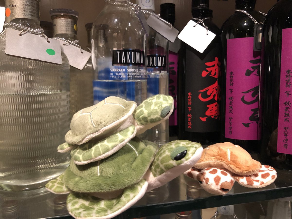 TABOO-K１月２月イベント予定

毎日営業
オープン夕方６時〜１２時
★土祝前は朝まで予定 

２４土曜
亀を愛でる会

２５日曜
体験店子さんソウマくん
２０代爽やか系くんです

２月１日曜
カズくん独り営業

８日曜
カイくん

１４土曜
ユウトくん

２１土曜
カケルくん

２２日ATLETA１周年