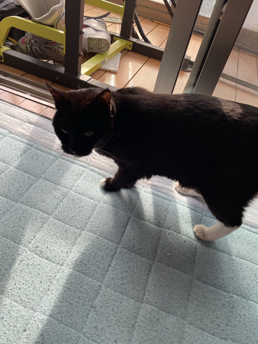 むら (@ipRYC0MEmx9aqWJ) / Posts / X