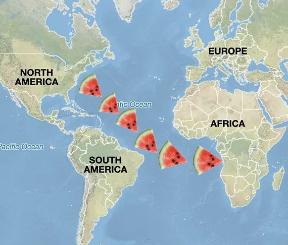 White Guy tweet media