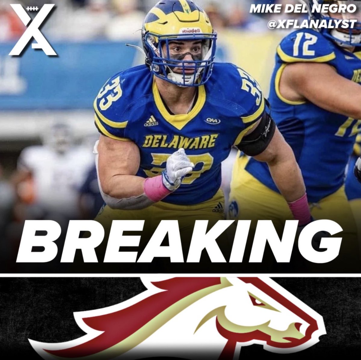 Johnny Buchanan tweet media