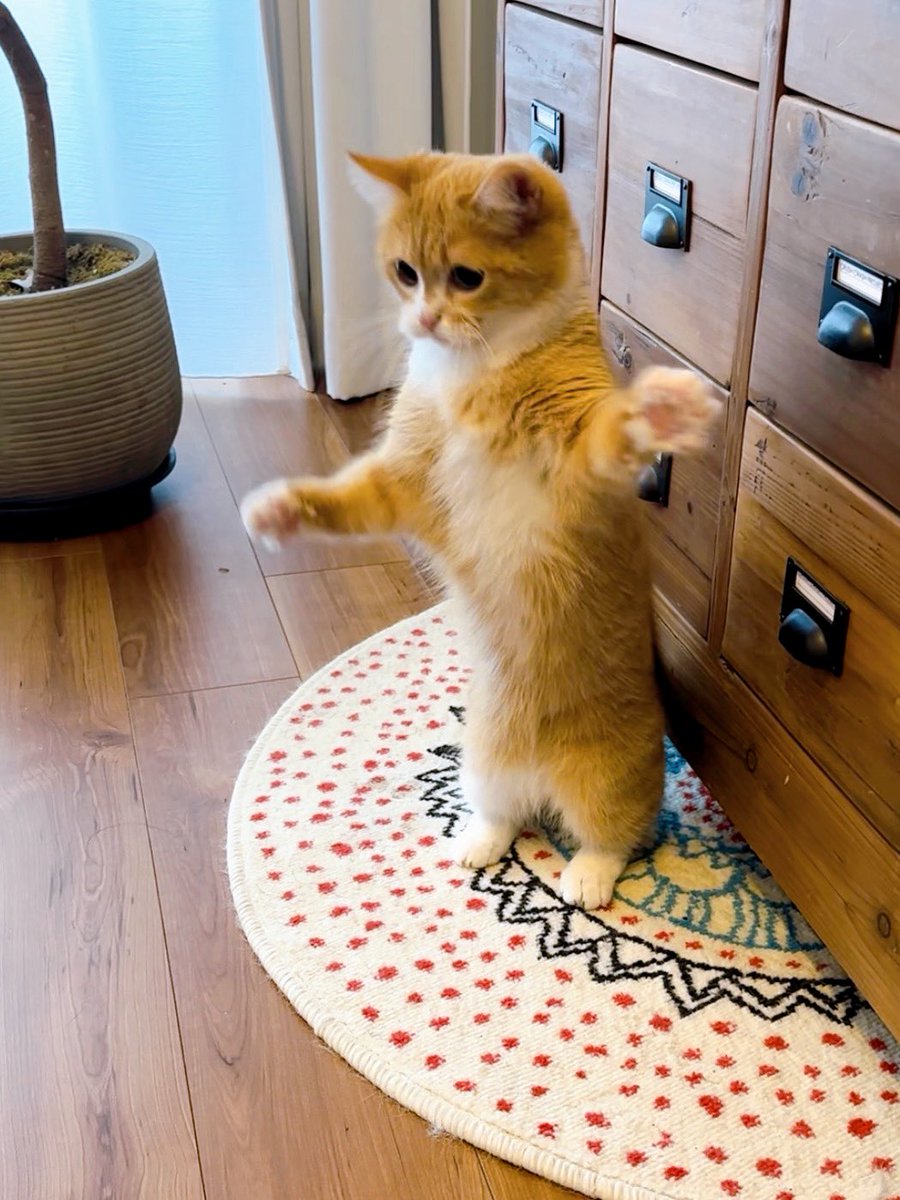 も&もちもな tweet media