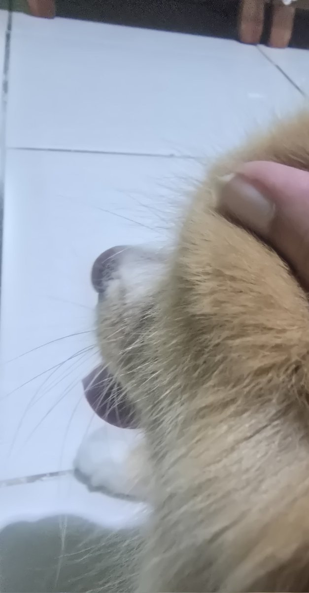 ESTOU EM CASA COM MINHA NENE