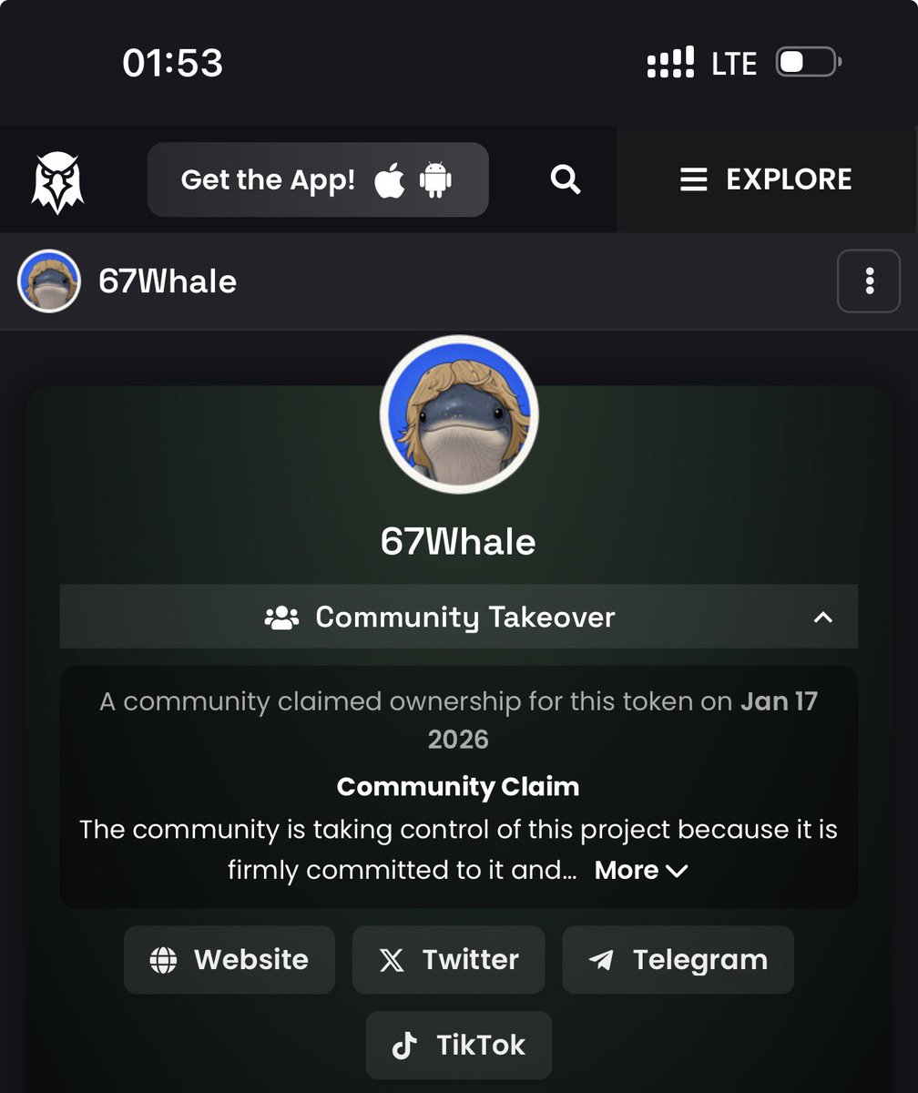 cyrdoge's tweet photo. $Whitewhale was destroyed because its community is weak and the majority had come for the hype.
The strongest community of all time is the $Dogecoin community
The next #67Whale, don’t let anyone destroy what you’re building hard.
Stay strong, fight for your project. Don’t let anyone distract you.
It’s a great lesson for every person who is CTO a project.
If I were in the place of WhiteWhale CTOs with such a feat I would launch a prediction platform for the community.
Also an image generation app and AI chat of all types combined with solid foundations.
Continuous burns
I already have a chance to manage 67Whale, These are the ones we are dealing with.
2TSC2PaXZDCkrBoxcNBiQyWh61dC9bRGqL8nKwfbpump
#Solana #67WhaleCTO