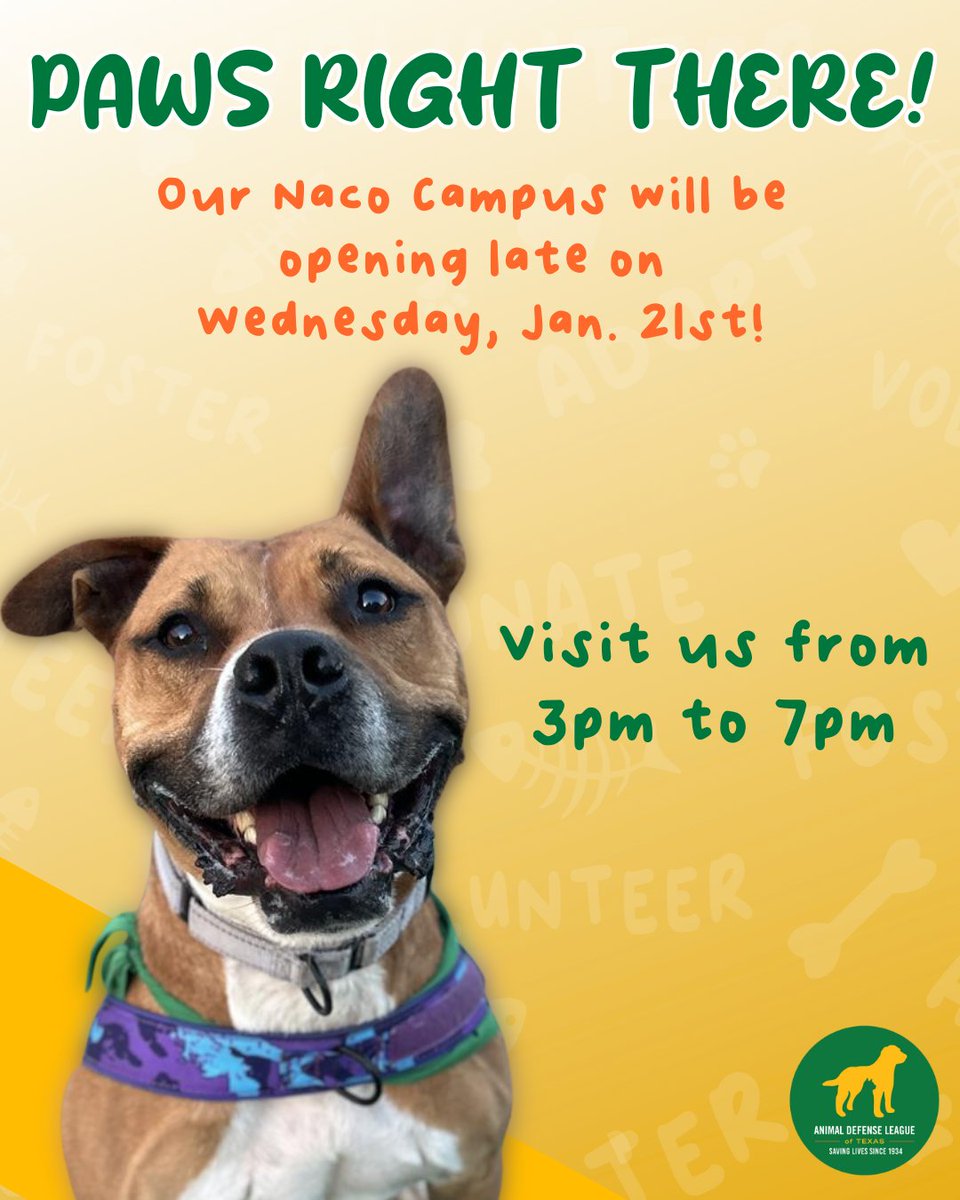 Animal Defense League of Texas tweet media